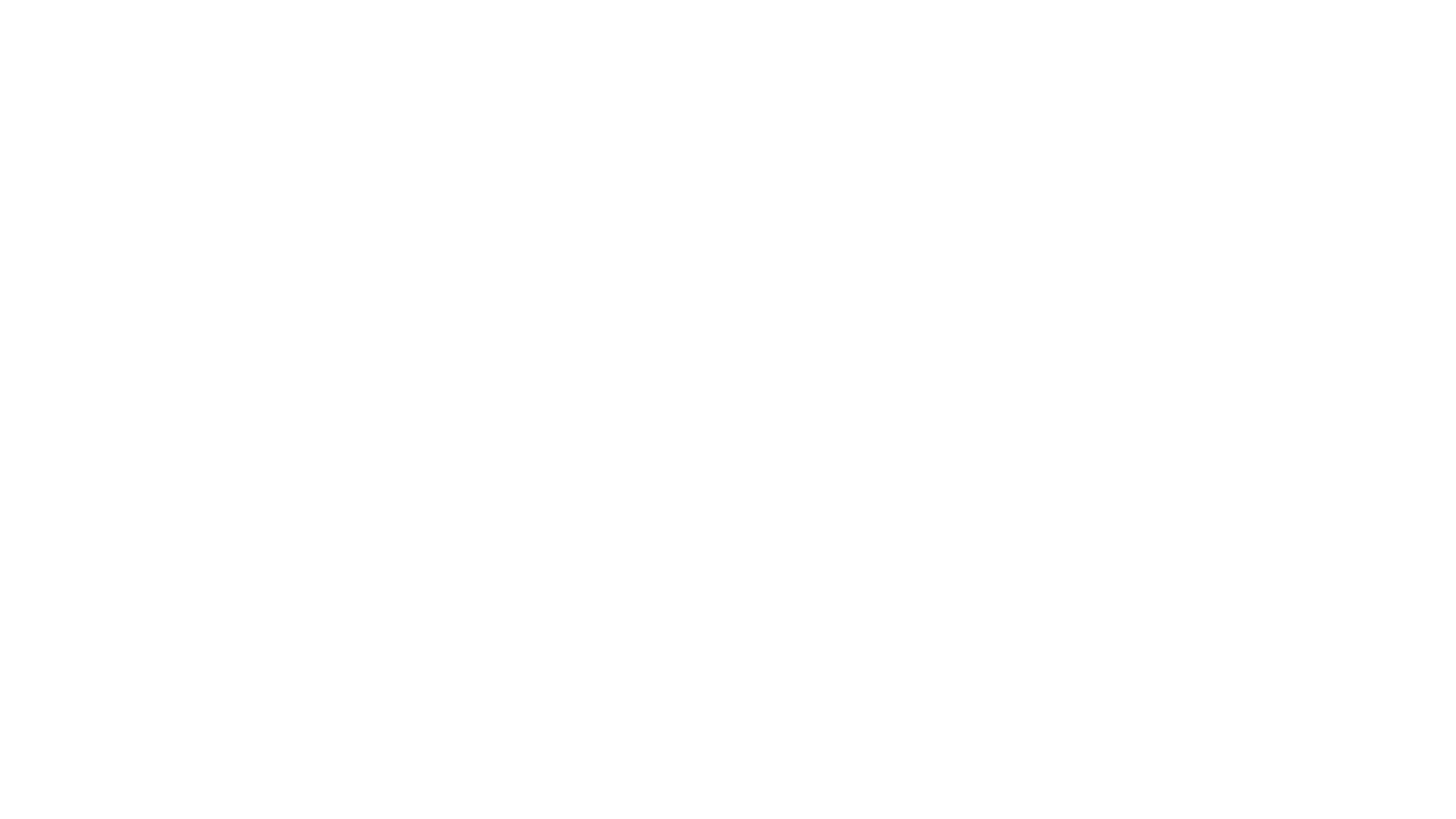 spirited.pictures