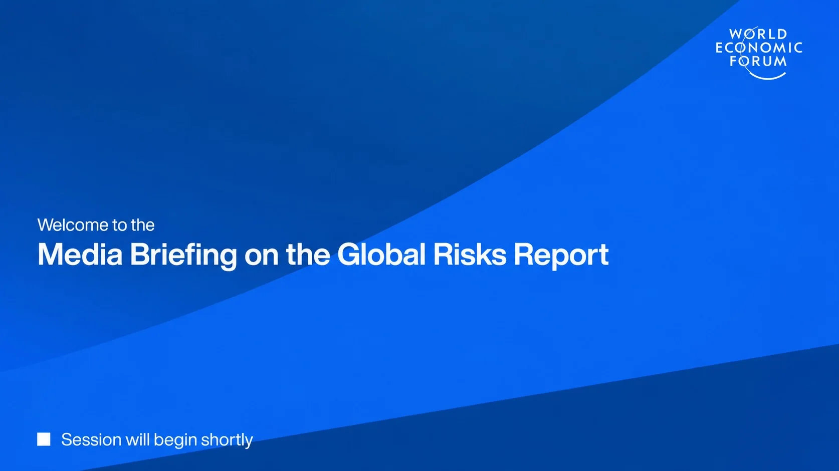 Media briefing on the Global Risks Report title slide